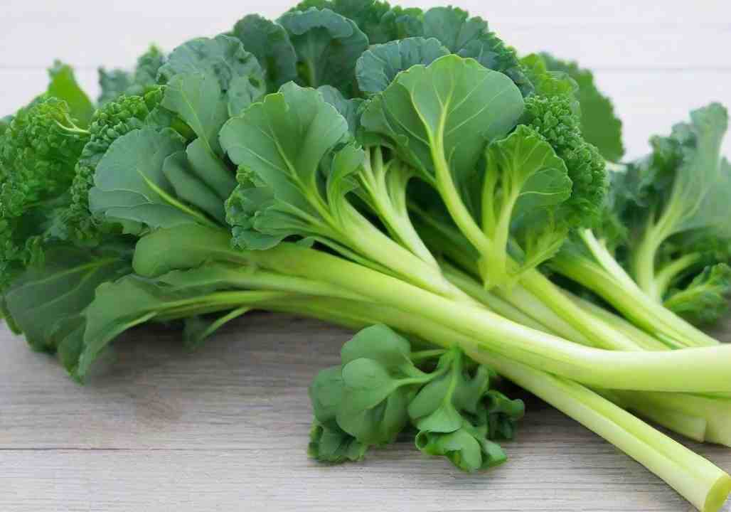 Grow Chinese Broccoli (Gai Lan)
