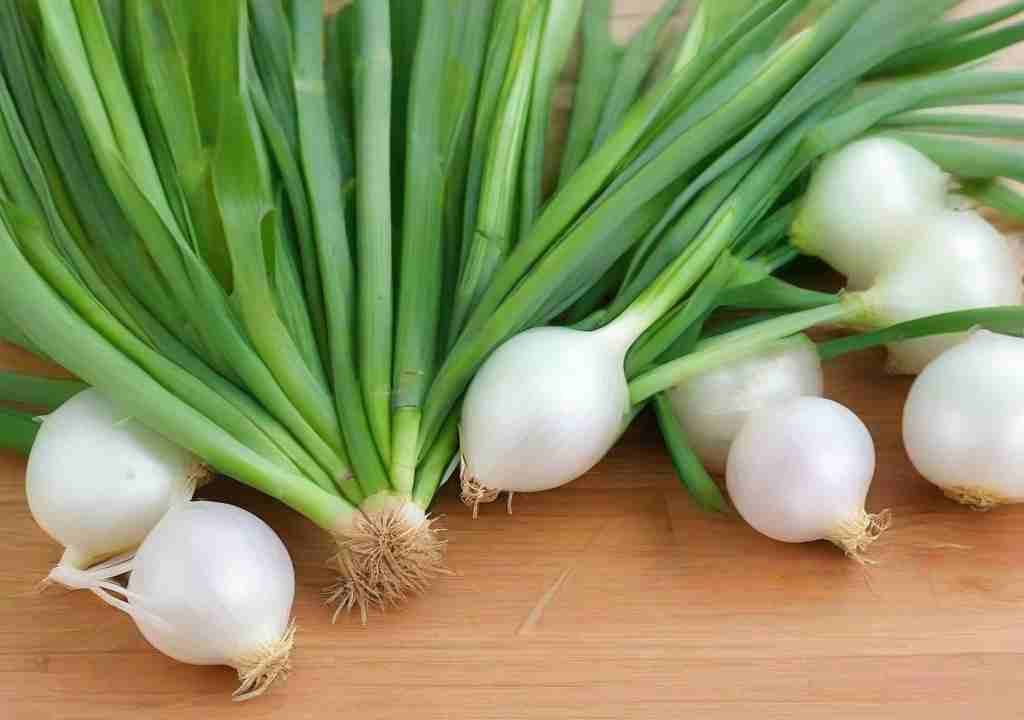 Onion (Scallion)
